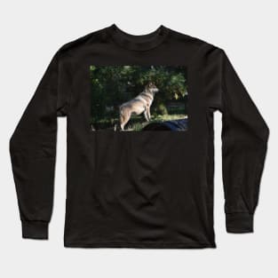 Mexican Grey Wolf Long Sleeve T-Shirt